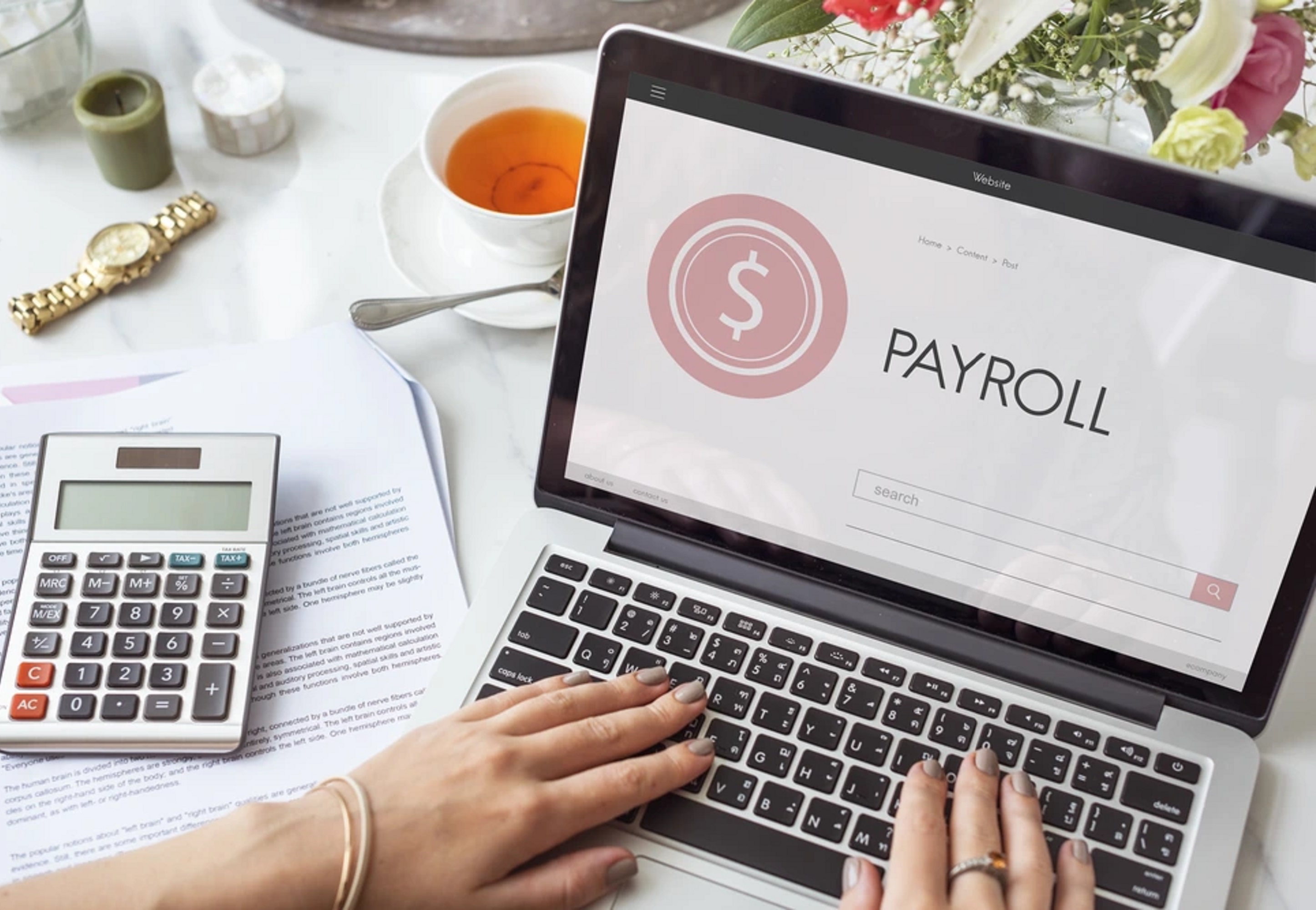 Payroll system dashboard